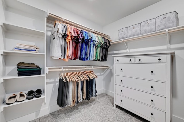 spacious closet with light colored carpet