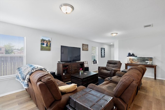 living room featuring light hardwood / wood-style flooring