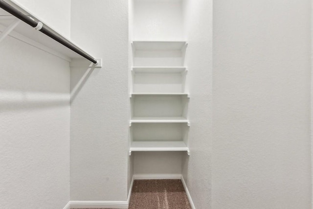 239 Spirit St, Elgin, TX 78621 - walk in closet featuring carpet