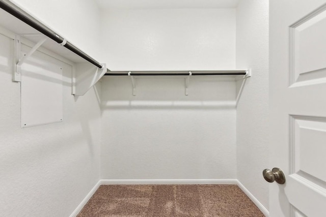 239 Spirit St, Elgin, TX 78621 - spacious closet featuring carpet