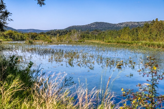 property view of water with a mountain view