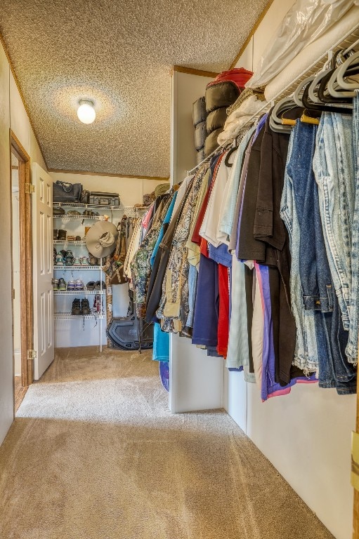 spacious closet featuring carpet