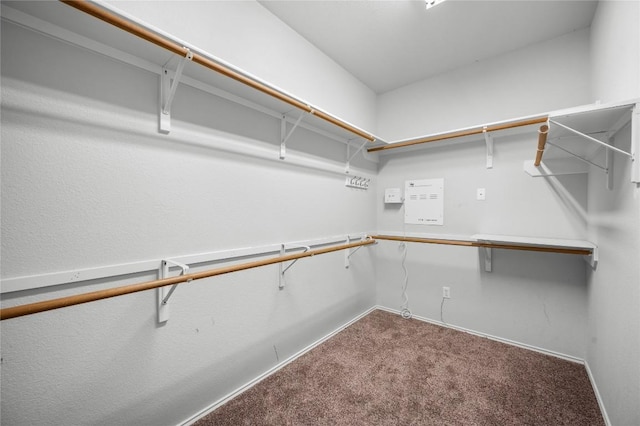 walk in closet featuring carpet flooring