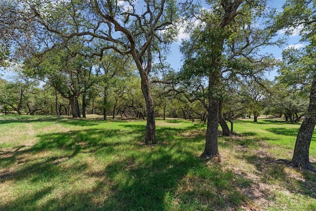 113 Ridge View Dr, Georgetown TX, 78628 land for sale