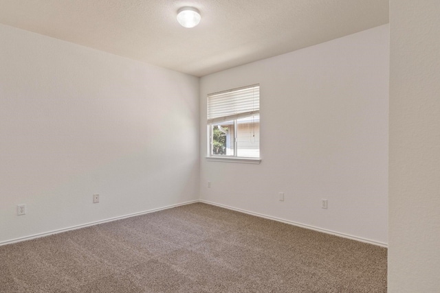 unfurnished room featuring carpet