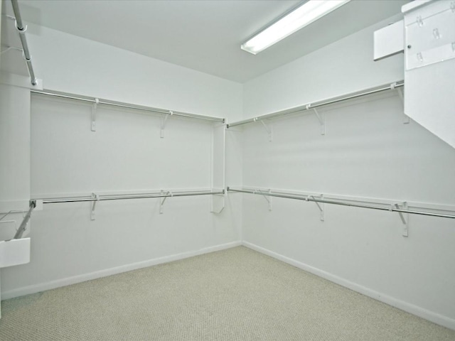 walk in closet with light colored carpet