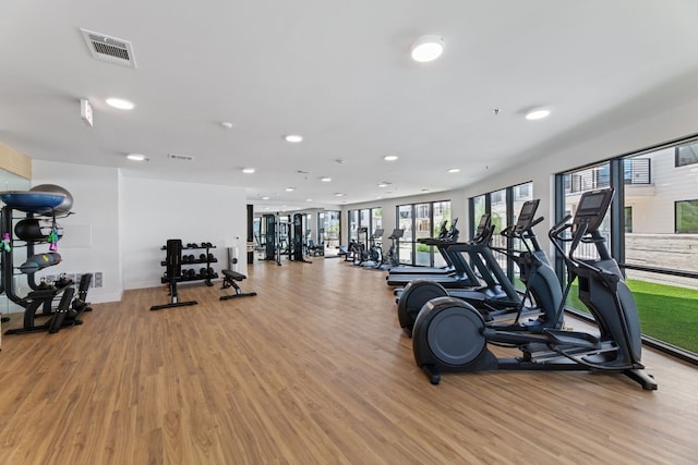 exercise room featuring light hardwood / wood-style flooring