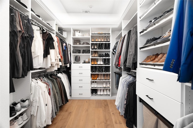 spacious closet with light hardwood / wood-style flooring