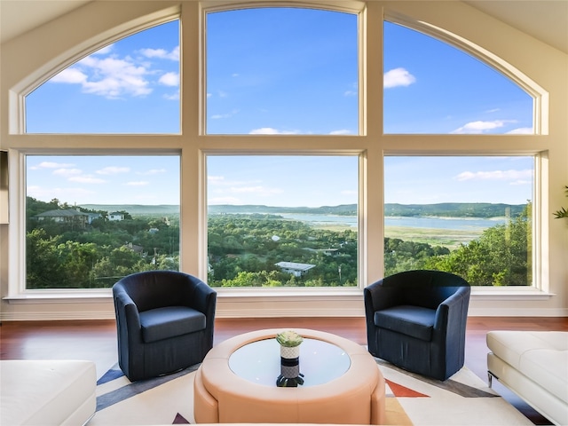 living room with a healthy amount of sunlight, a water view, and wood-type flooring