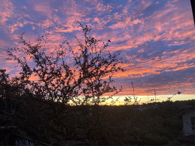 view of nature at dusk