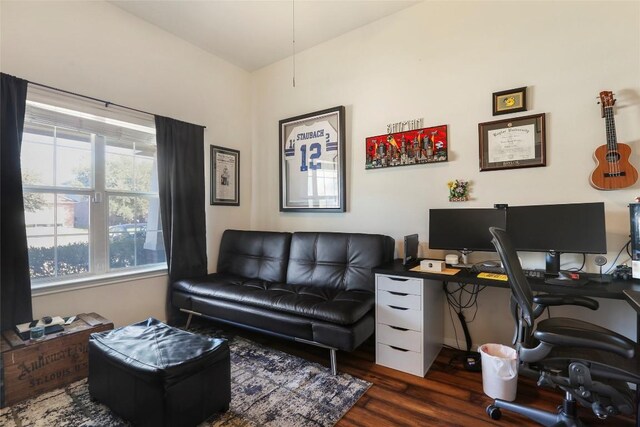office space featuring wood finished floors
