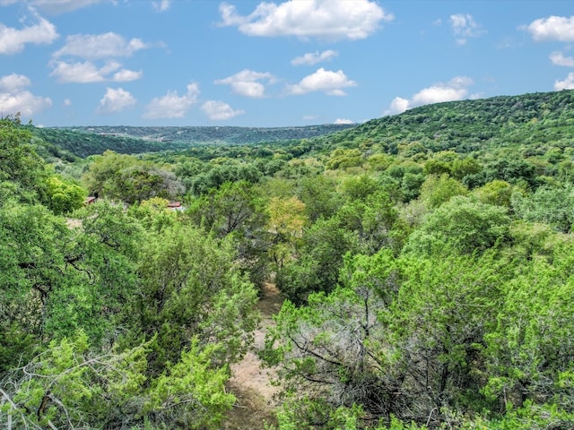 Listing photo 2 for 6304 Yaupon Dr, Austin TX 78759