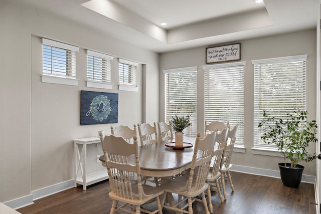 dining room featuring a raised ceiling and dark hardwood / wood-style flooring