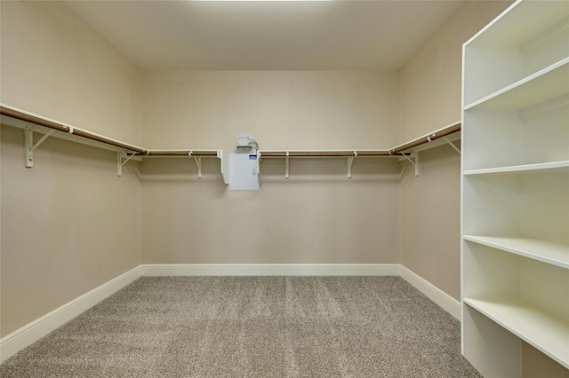 spacious closet with carpet