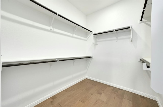 spacious closet featuring hardwood / wood-style flooring