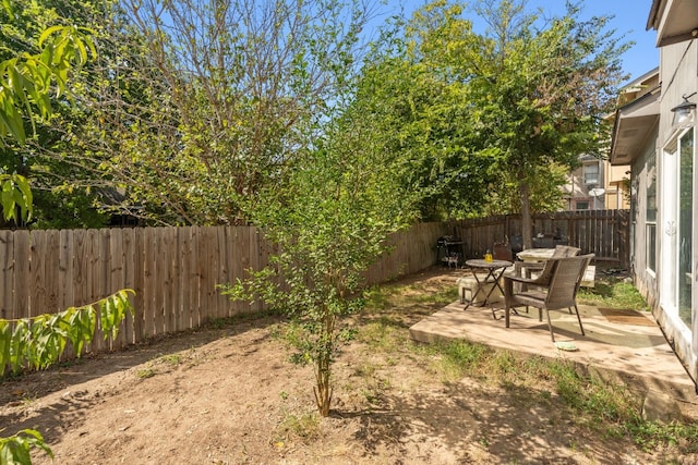 view of yard featuring a patio