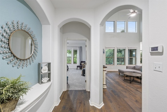 hallway featuring dark hardwood / wood-style flooring