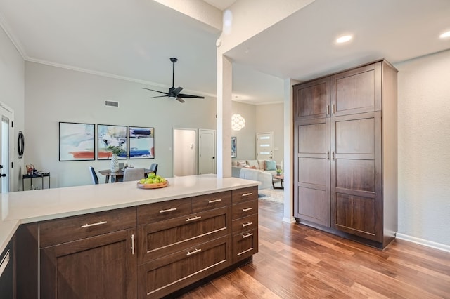 kitchen featuring dark brown cabinetry, light hardwood / wood-style floors, ornamental molding, and ceiling fan