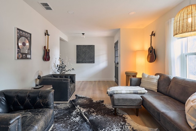 living room featuring hardwood / wood-style flooring