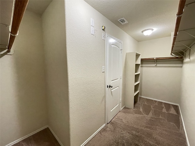 walk in closet featuring carpet flooring