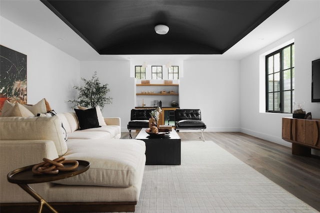 living room featuring a raised ceiling and hardwood / wood-style flooring