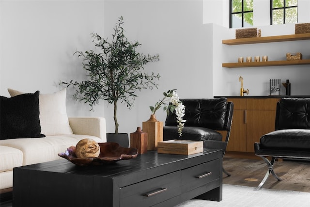 living room featuring radiator heating unit and light hardwood / wood-style floors