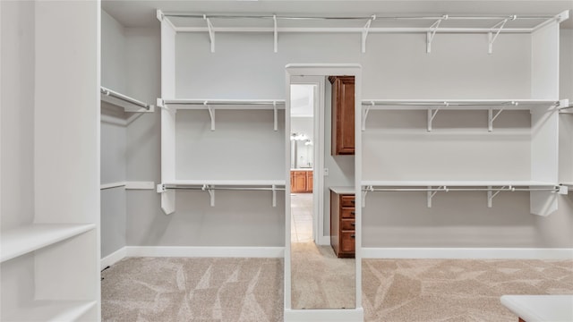 walk in closet featuring light carpet