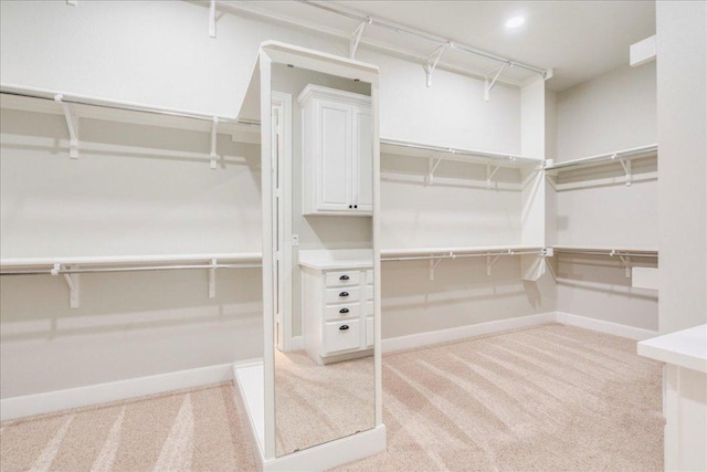 175 Blazing Star Dr, Austin, TX 78737 - spacious closet with light colored carpet