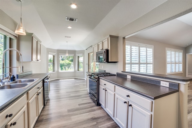 kitchen with stainless steel appliances, plenty of natural light, and hanging light fixtures