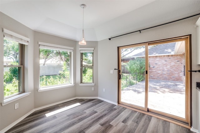 unfurnished room featuring wood-type flooring