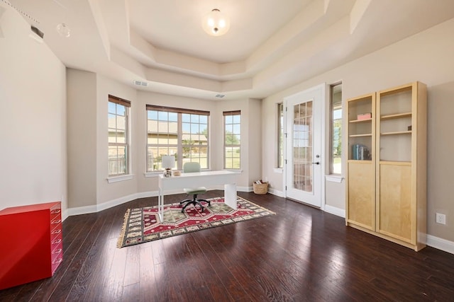 interior space featuring a raised ceiling and dark hardwood / wood-style floors