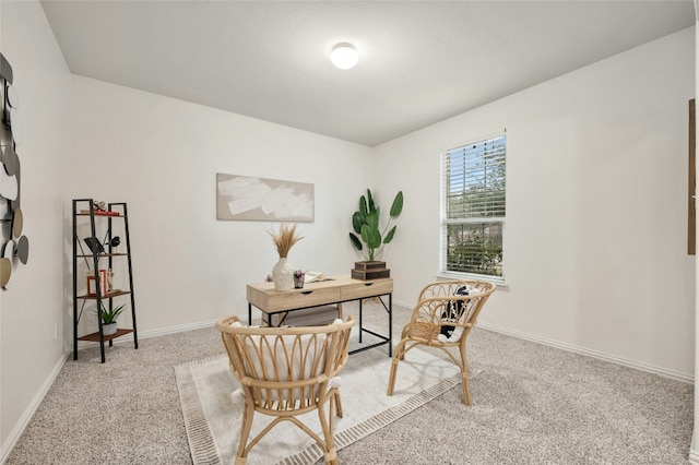 office area with light carpet