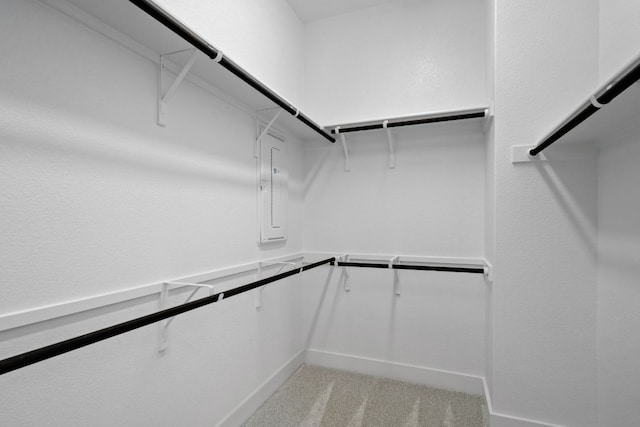 4804 Destination Way, Jonestown, TX 78645 - spacious closet with light carpet and electric panel