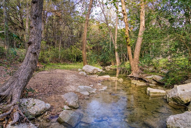 view of local wilderness