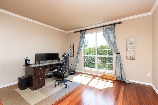 office space featuring crown molding and hardwood / wood-style floors