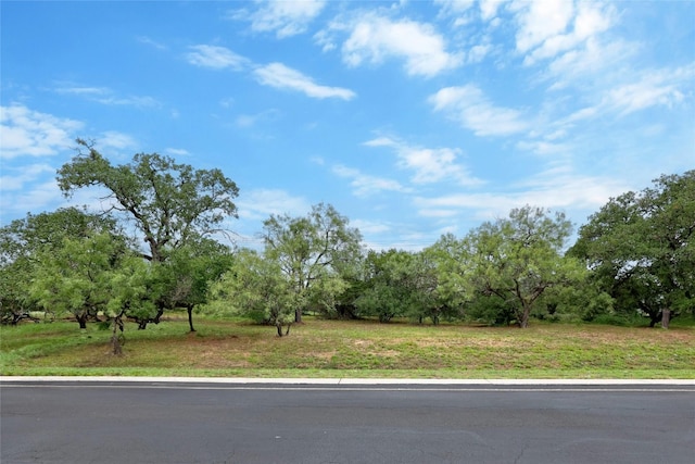 1323 Hi Cir N, Horseshoe Bay, TX 78657 - view of asphalt road with view of scattered trees