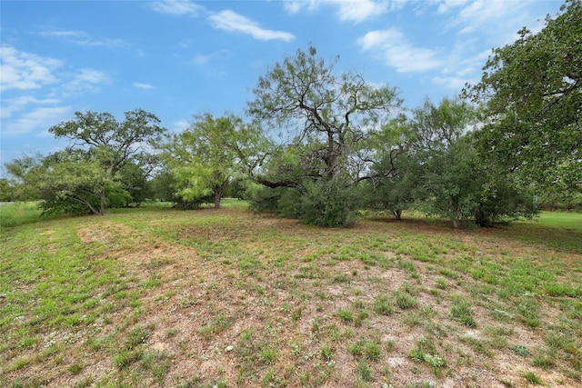 1323 Hi Cir N, Horseshoe Bay, TX 78657 - view of yard