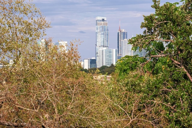 property's view of city