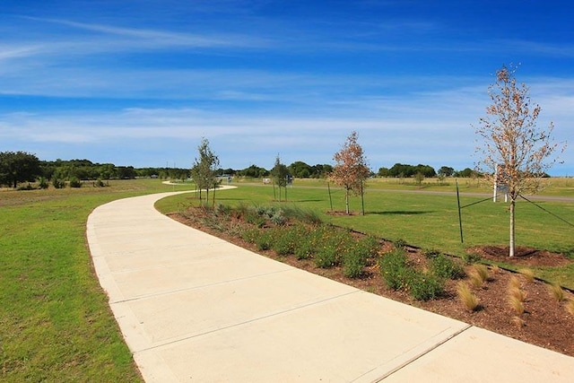 view of community with a lawn