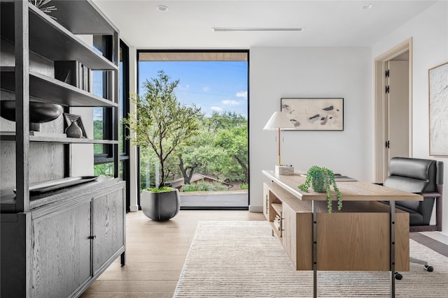 home office featuring expansive windows and light hardwood / wood-style flooring