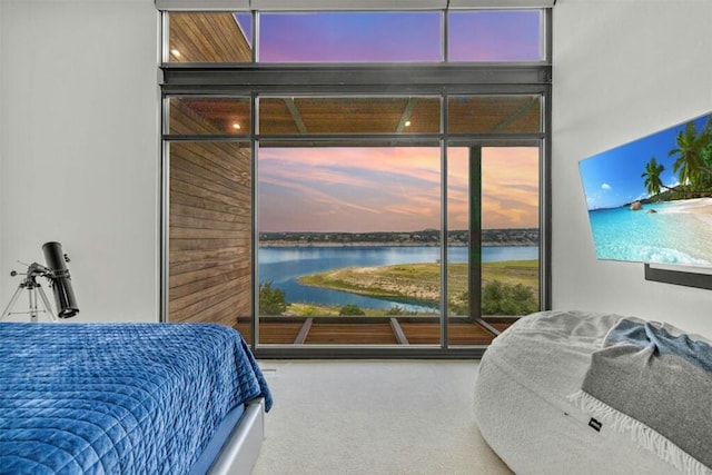 bedroom featuring carpet floors and access to exterior