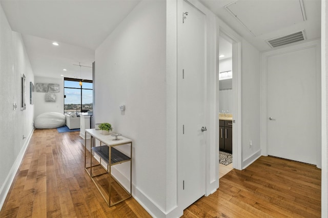 hallway featuring hardwood / wood-style flooring and floor to ceiling windows