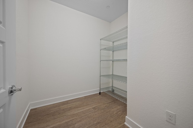 spacious closet with wood-type flooring