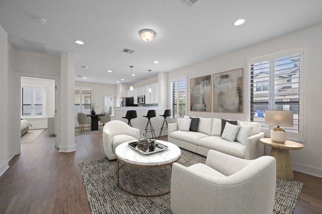 living room with a wealth of natural light and dark hardwood / wood-style flooring