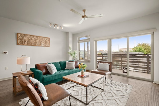 living room with wood-type flooring and ceiling fan