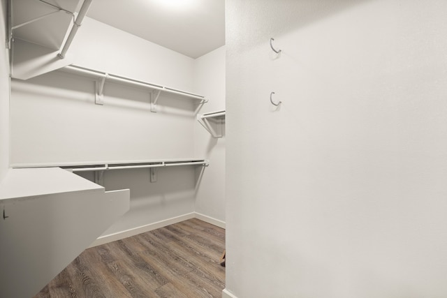 spacious closet featuring dark hardwood / wood-style floors