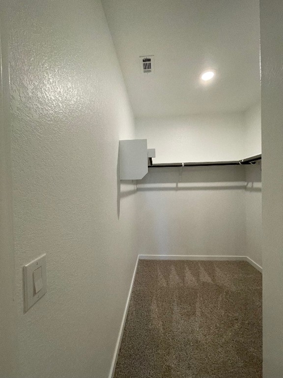 spacious closet with carpet