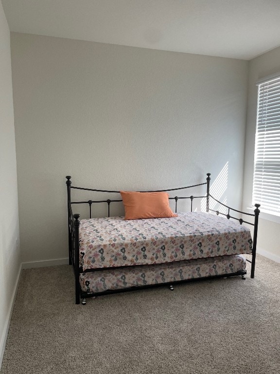 bedroom featuring carpet floors