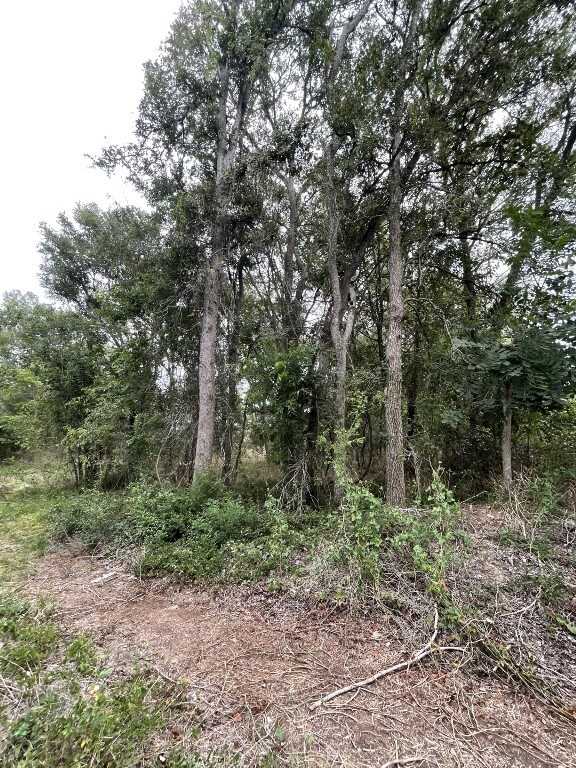 686 Fm 812, Red Rock, TX 78662