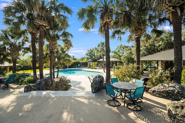 view of pool featuring a patio